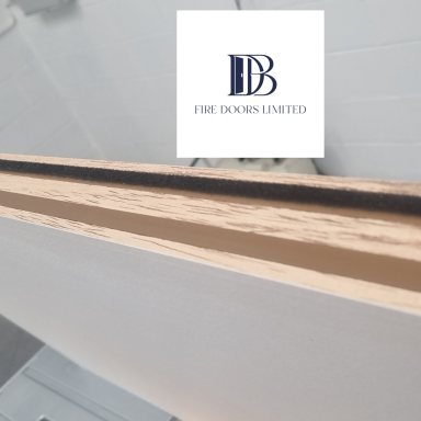 fire door smoke seal and intumescent strip