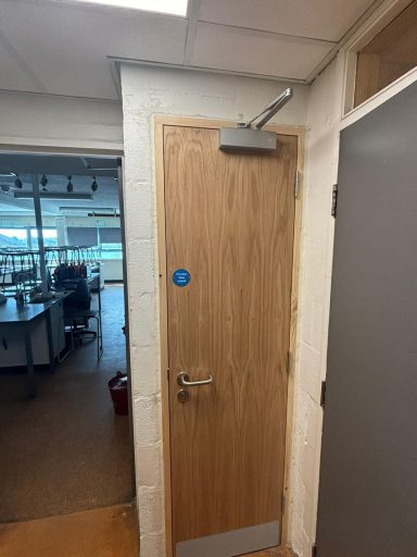 Installed Fire Door