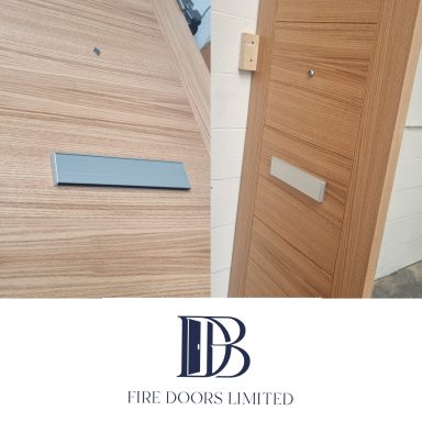 Entrance Fire door with ironmongery